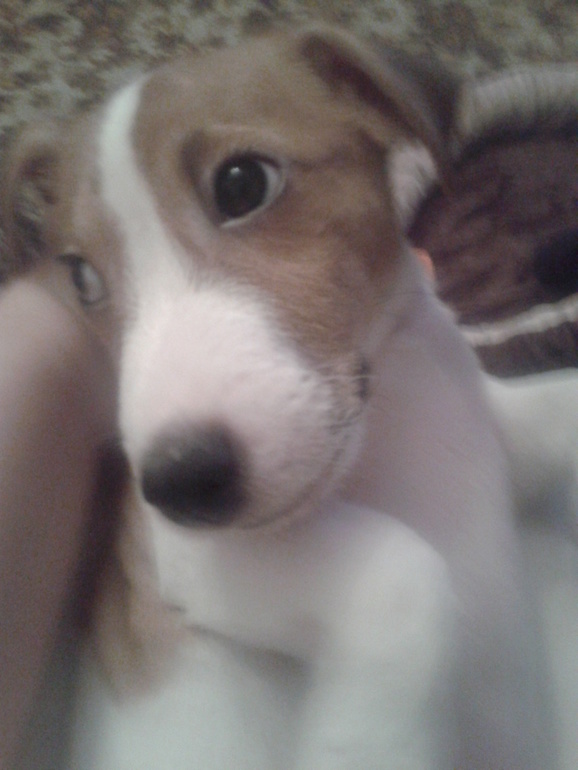 Год подходит к концу, пора подводить итоги