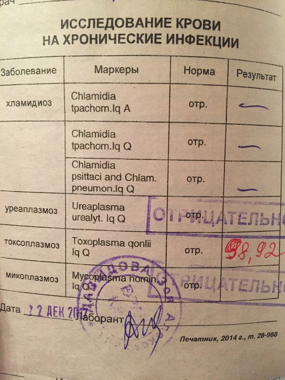 Анестезия в стоматологии для беременной 20