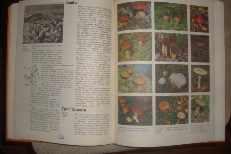 Что такое. Кто такой