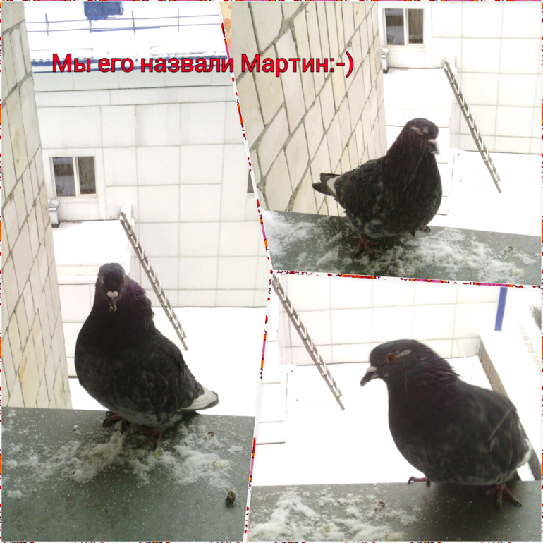 Вот такая прелесть нас с принцесской радует в род доме!)))))