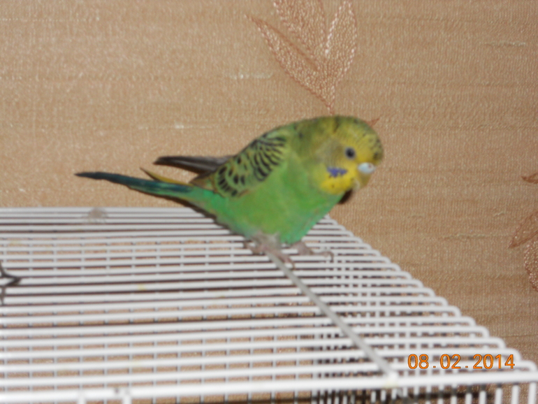 Неужели у меня девочка???