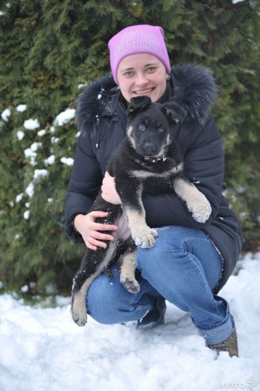 Так у нас появился Джоник