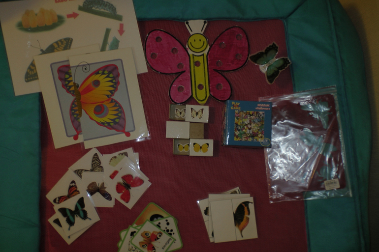 ТД "Бабочка"