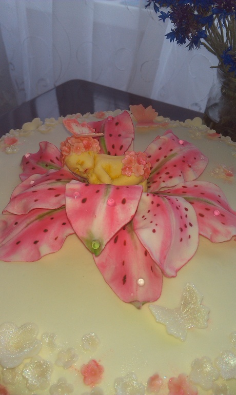 Тортик на рождение племянницы мужа. : ) Как вам девчата?