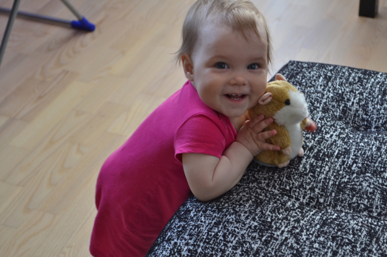 хомяк и туфли)))