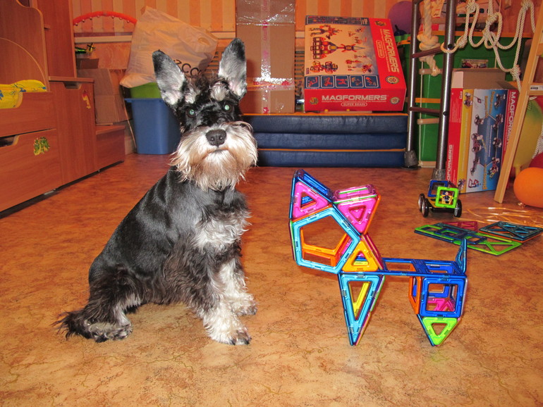 И мы хотим похвалить Magformers