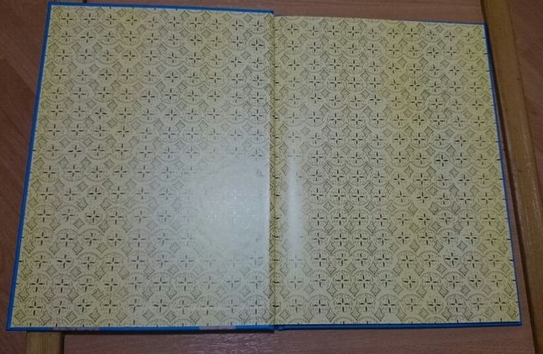 Он живой и светится. В.Драгунский