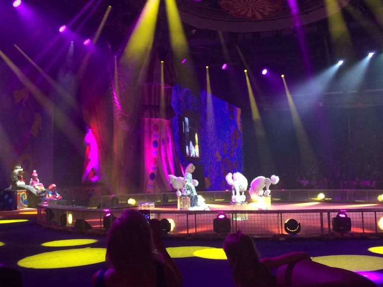 поход на Елку