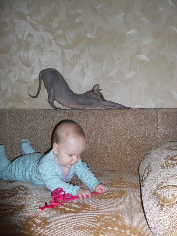 7 месяцев. И мы закончили с прививками!))))