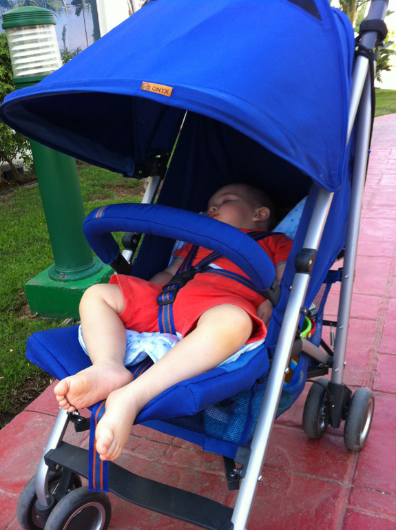 Мучительный выбор трости (inglesina trip, jetem paris, mac quest, cybex onyx)