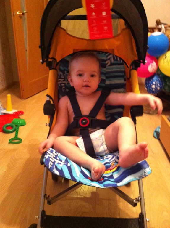 Мучительный выбор трости (inglesina trip, jetem paris, mac quest, cybex onyx)