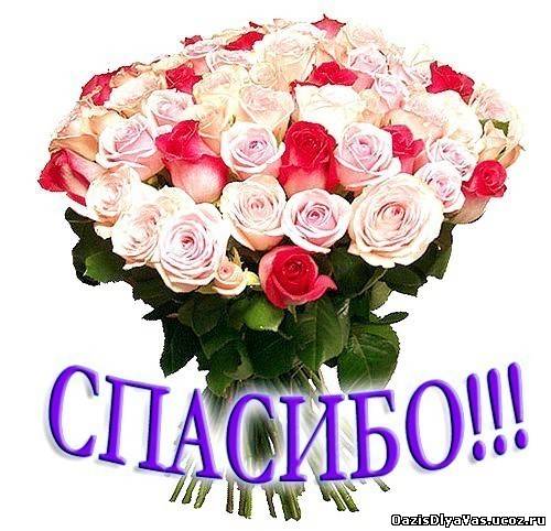 СПАСИБО ИННА!!!!