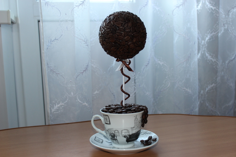 Кофейное дерево для мужа