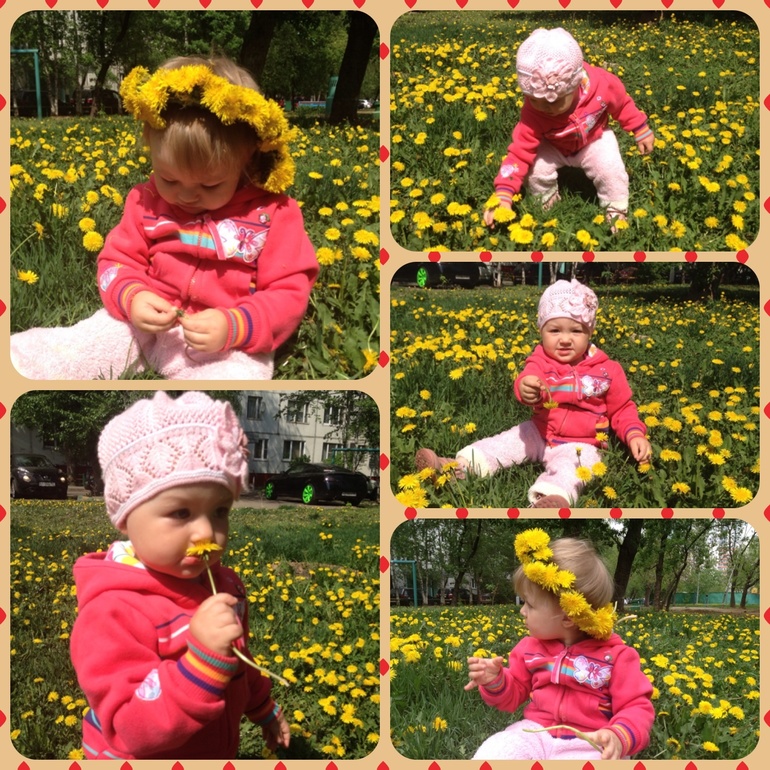 Солнце, одуванчики!..