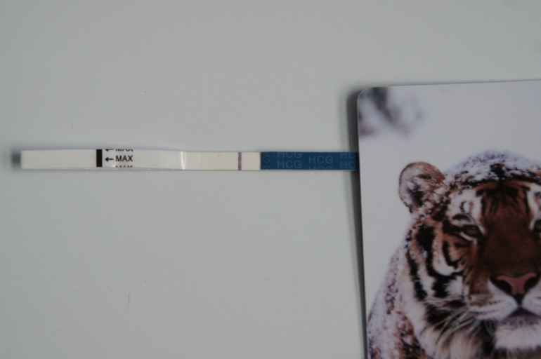 Тестомания продолжается...10 дпо.