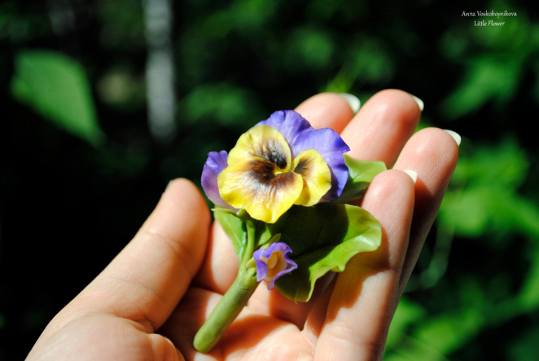 Брошь "Анютины глазки"