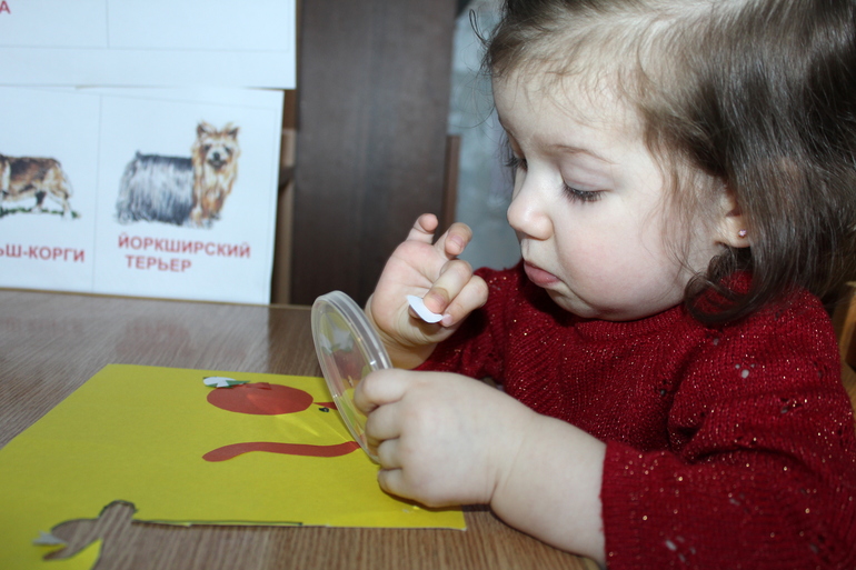 Отчет по мини-ТН