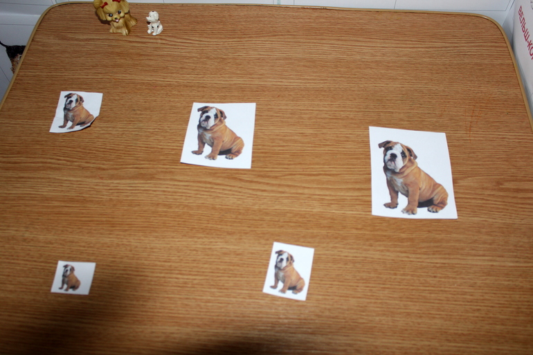 Отчет по мини-ТН