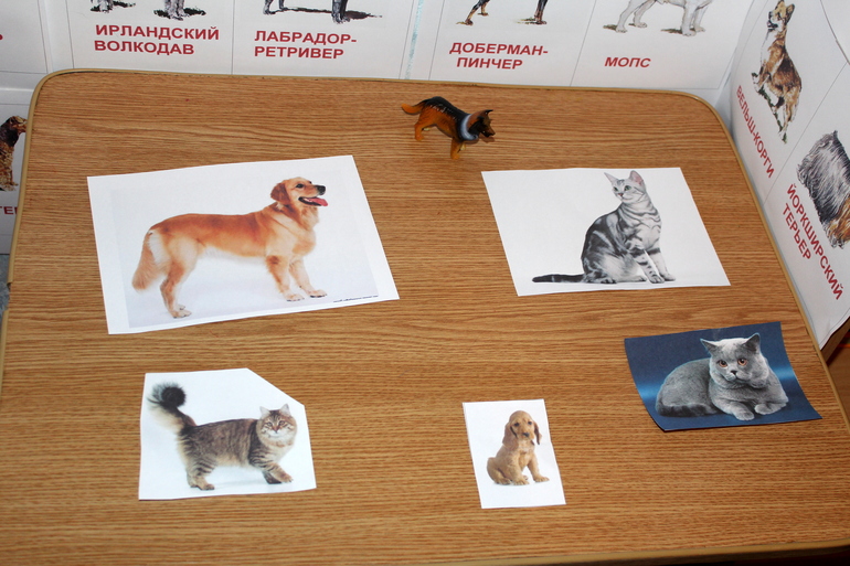 Отчет по мини-ТН