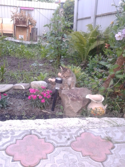 Может это ЗНАК ???