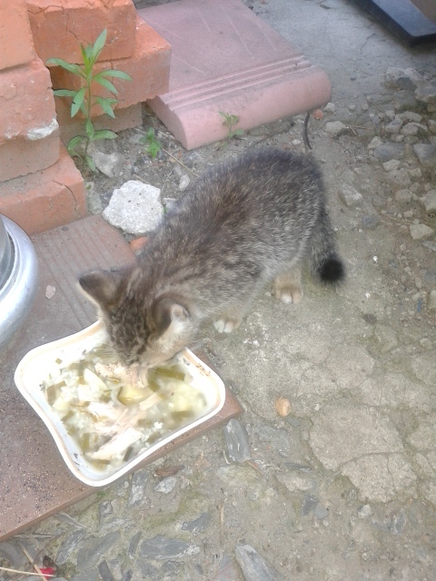 Может это ЗНАК ???