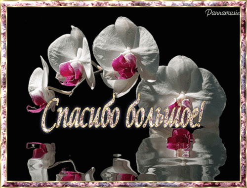 Подарочки из Крымска!