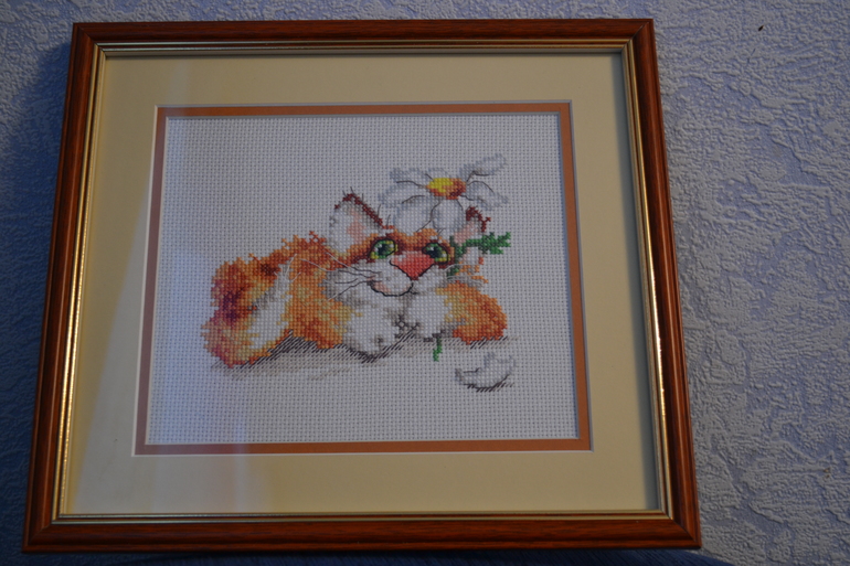 Рыжий котик.