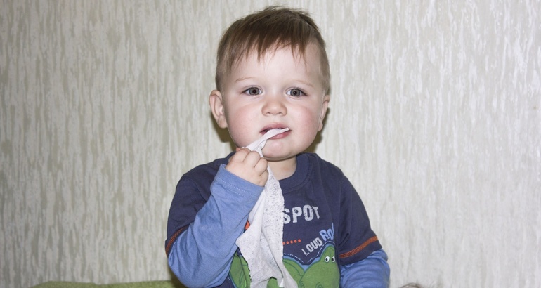 Мой любимка 1.4.