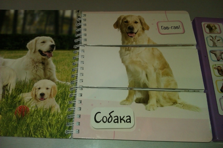 Читаем в 1-1,5г.