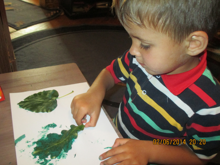 ТЗ  ДЕРЕВЬЯ   ГУЛЯЕМ-ИЗУЧАЕМ!!!