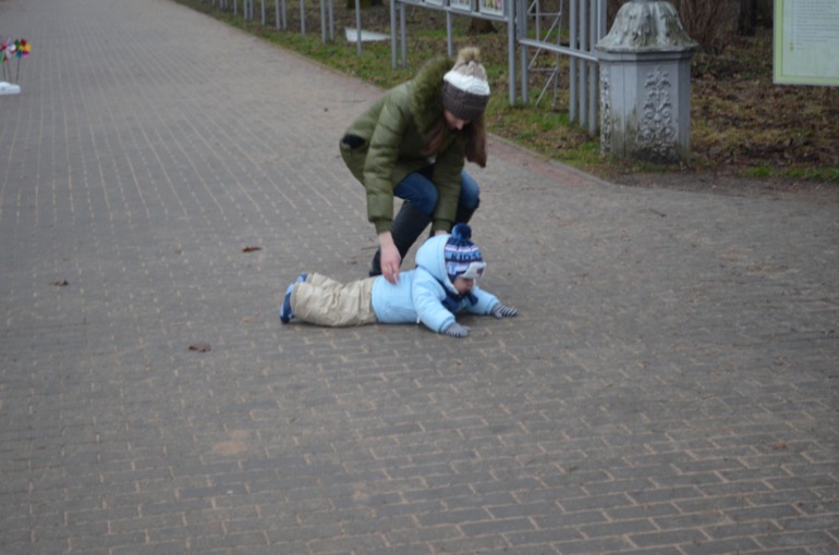 Новогоднее путешествие) в Ботанический сад