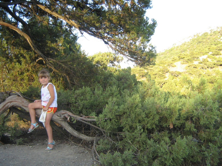 Коктебель, Новый Свет.