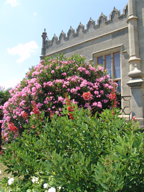 Алупка. Воронцовский дворец.