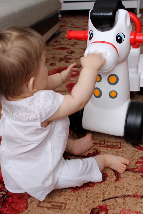 Конь в яблоках.8,5 мес