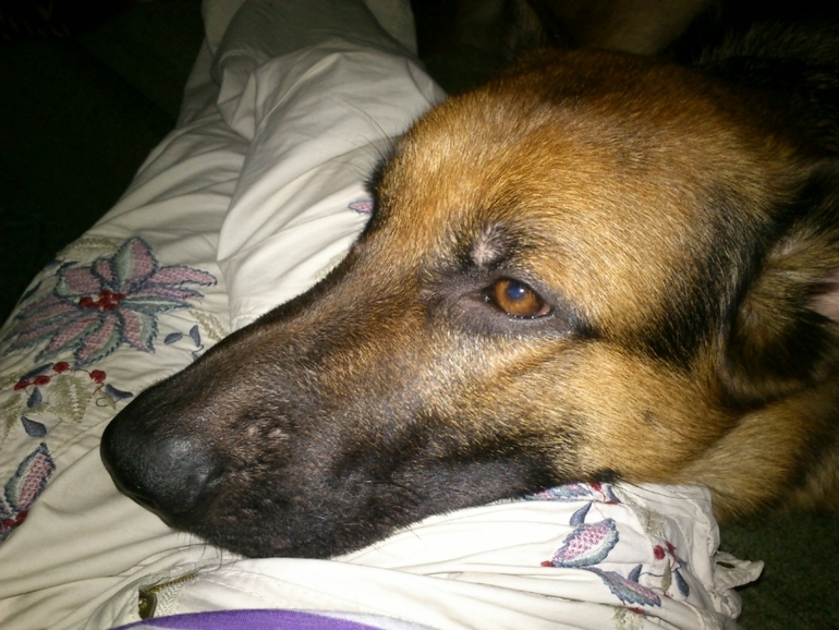 вот такие мы....