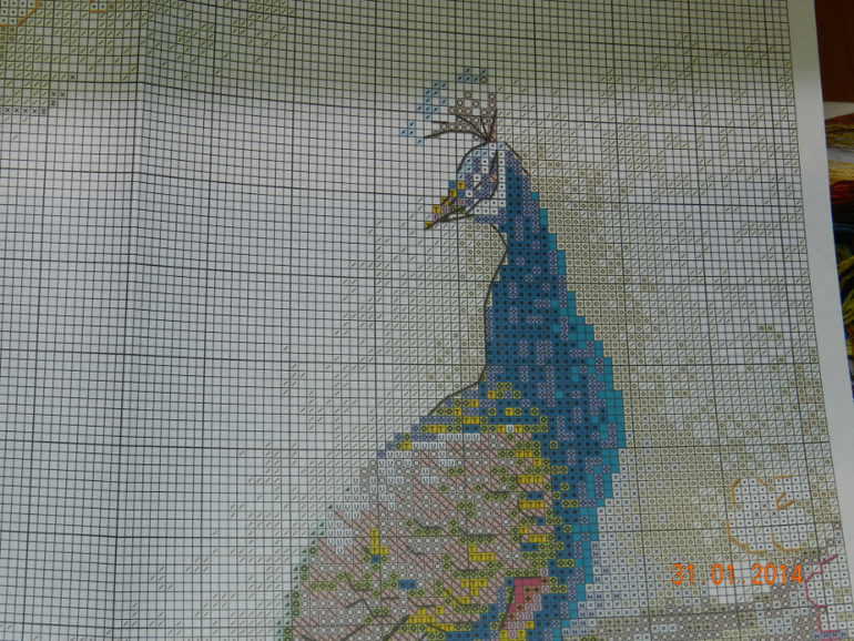 радость хомки