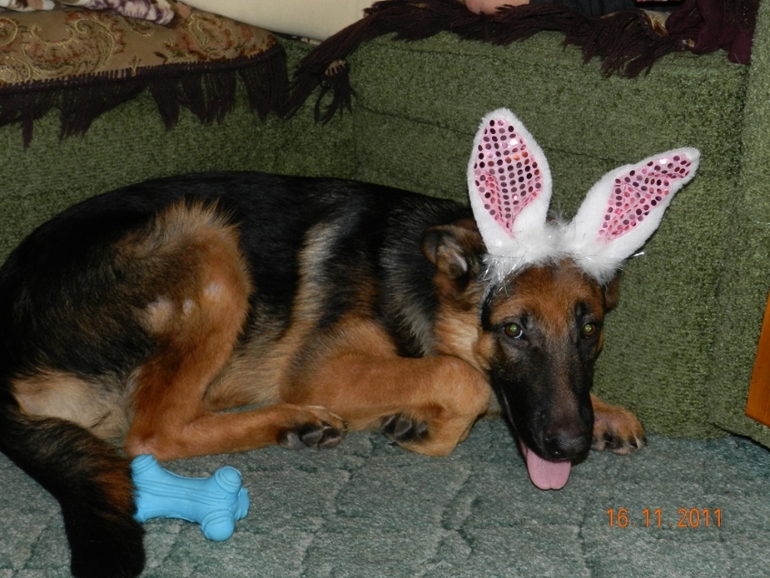 вот такие мы....