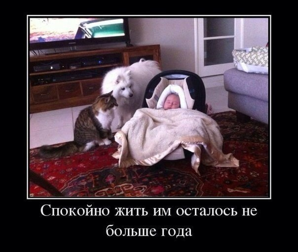 Позитив о детях.