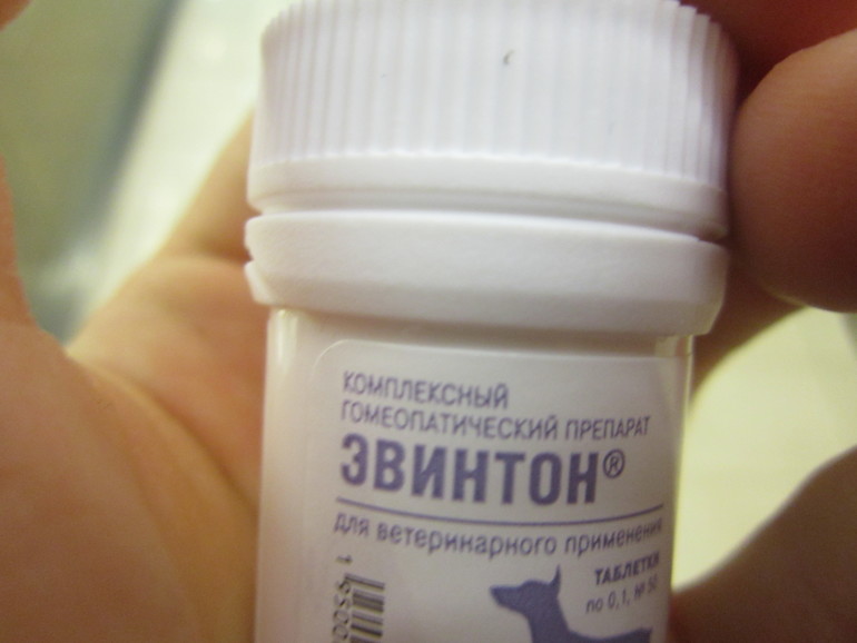 Маруся