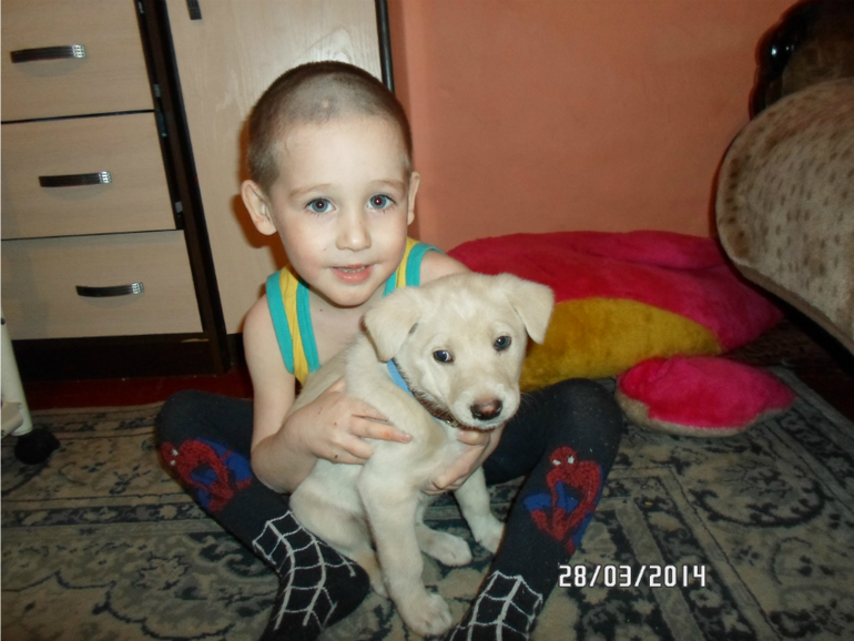 Голубоглазое чудо