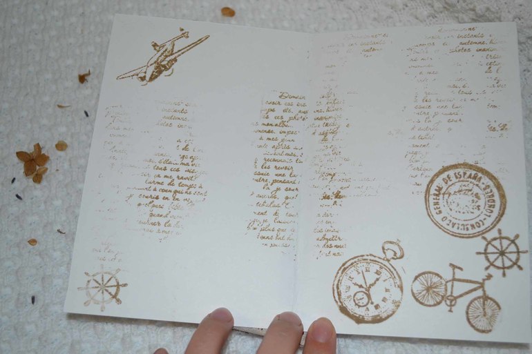 Альбом для монет