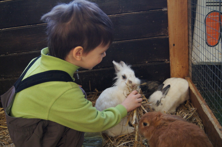 Масленица и мартовские праздники.