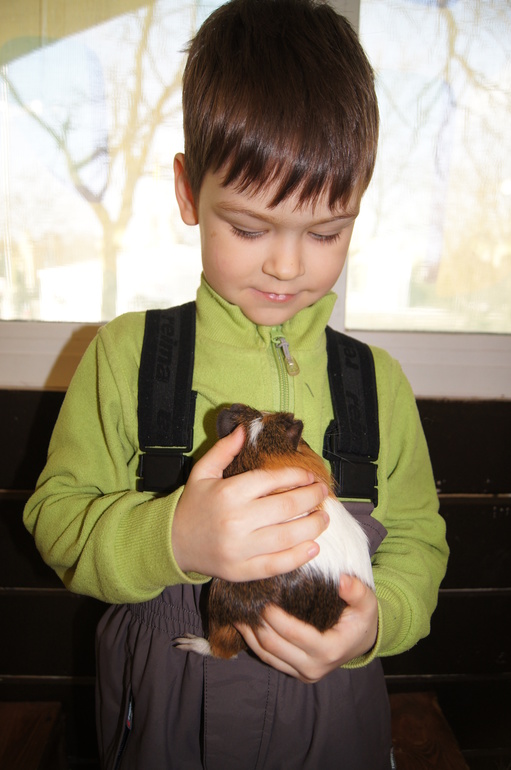 Масленица и мартовские праздники.