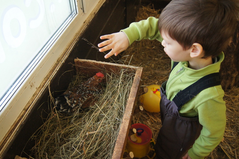Масленица и мартовские праздники.