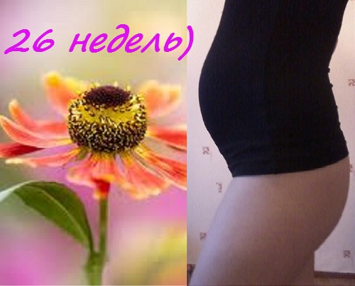 26 неделек)