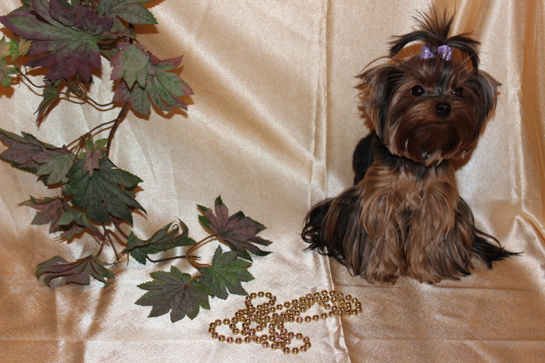 Наш мелкий шкет ЛяЛя