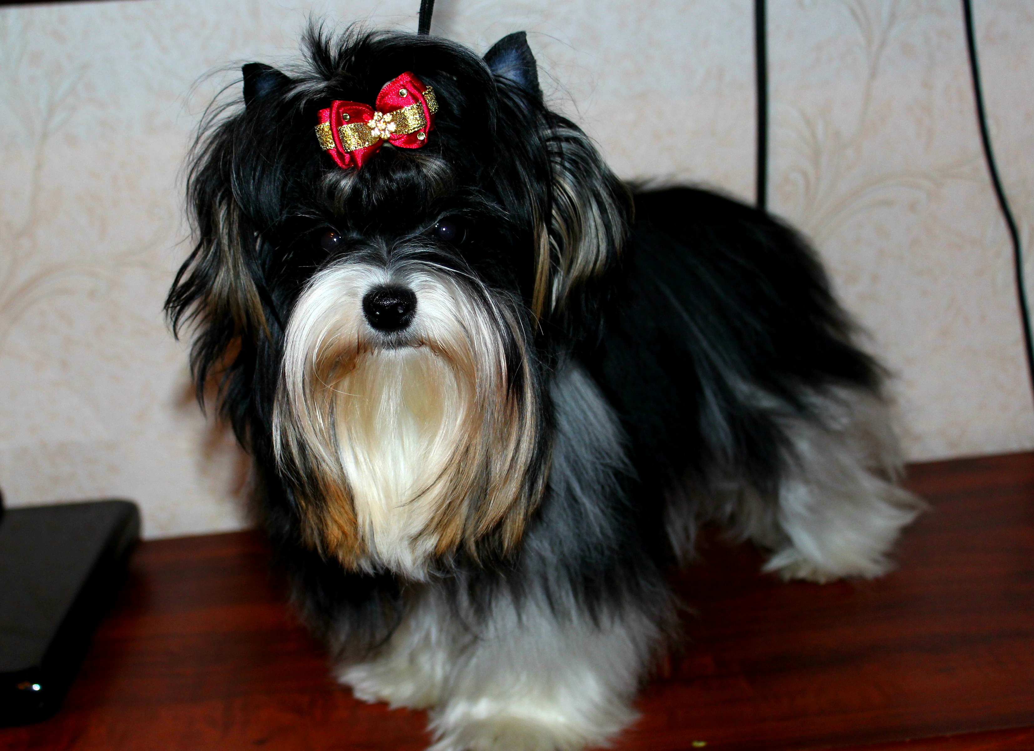 Моя девочка 9.5 мес