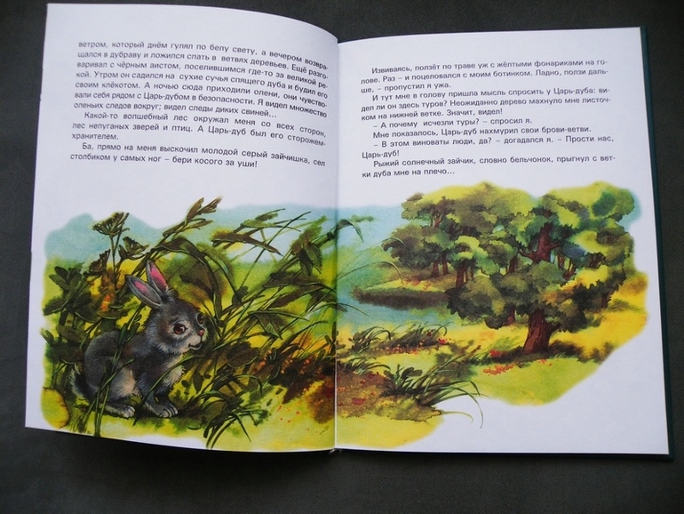 Первое пополнение лета