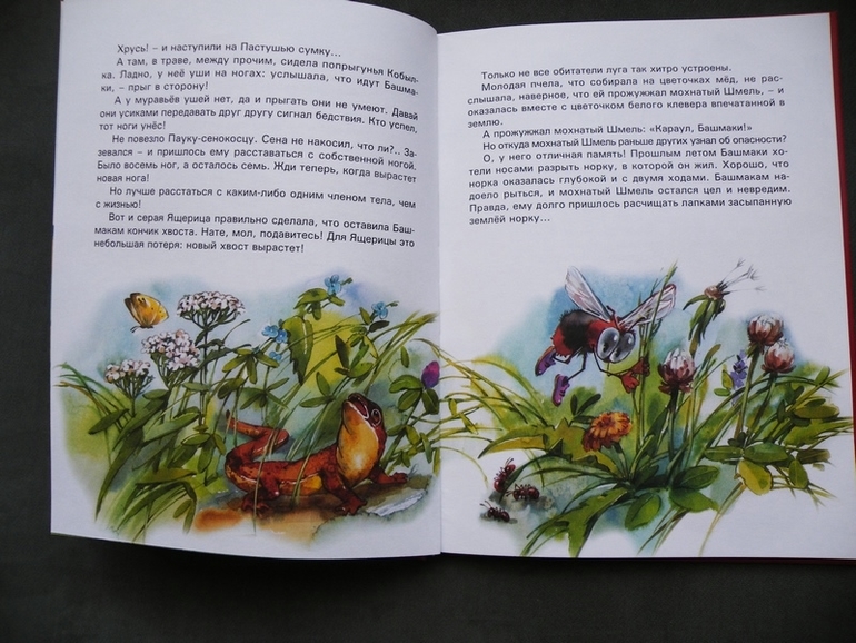 Первое пополнение лета