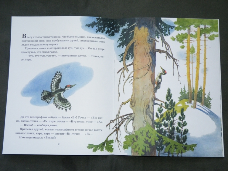 Новые книги - фото отчет